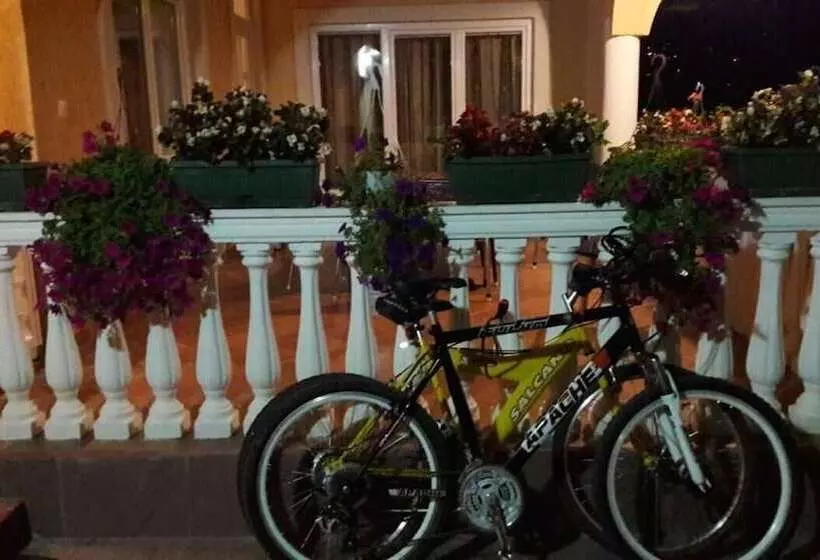 Apartments Old Olive