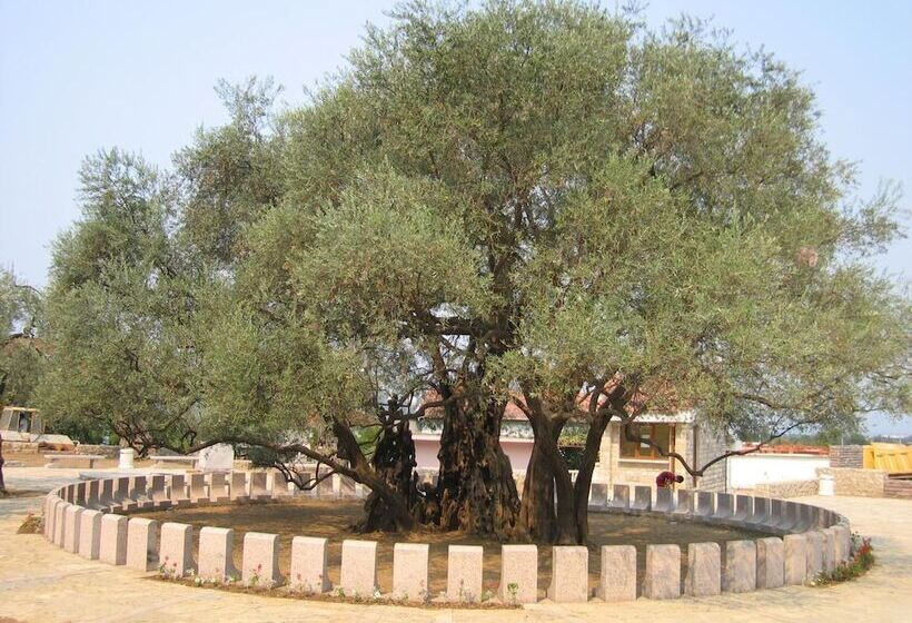 Apartments Old Olive