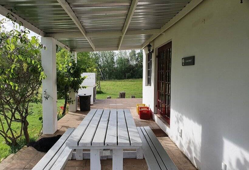 酒店 Fraaigelegen Farm