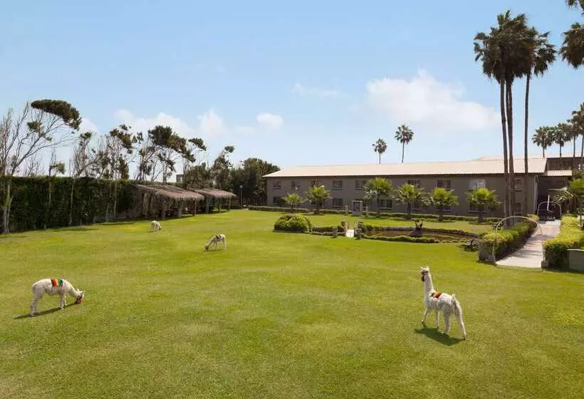 هتل Costa Del Sol Wyndham Trujillo