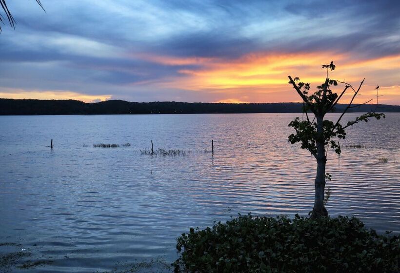 هتل Maya Internacional