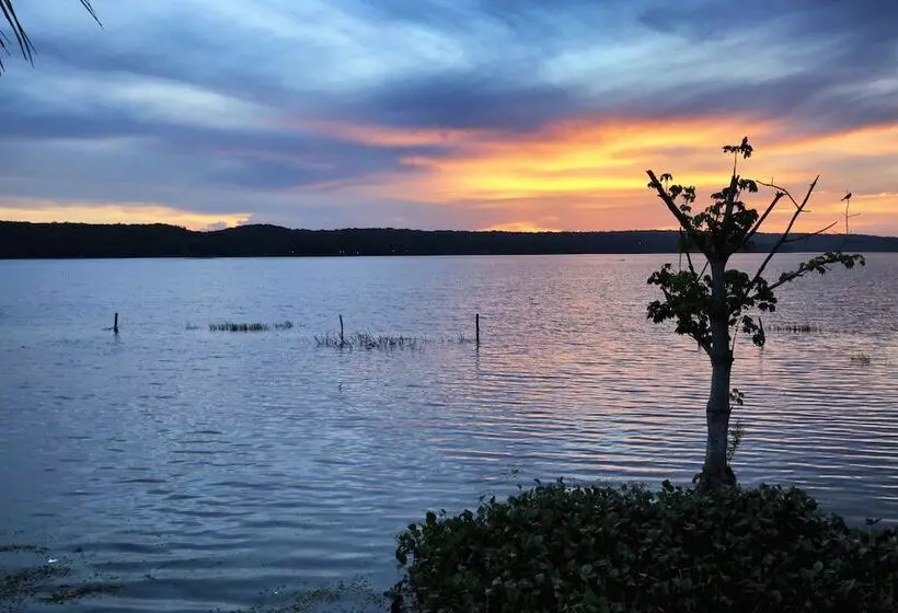 هتل Maya Internacional