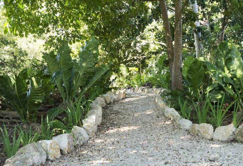 هتل Maya Internacional