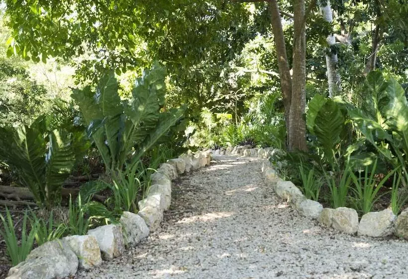 هتل Maya Internacional