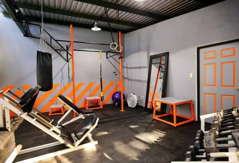 هتل Maya Internacional