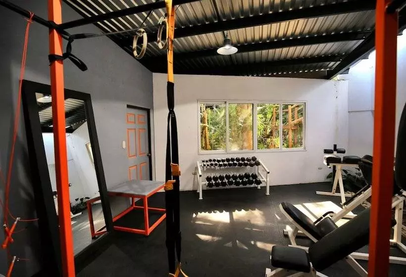 هتل Maya Internacional