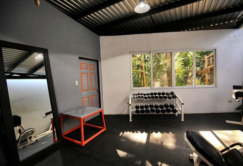 هتل Maya Internacional