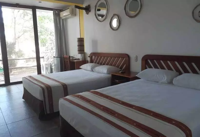 هتل Maya Internacional