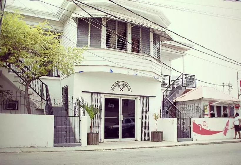 فندق Caribbean Palms Inn