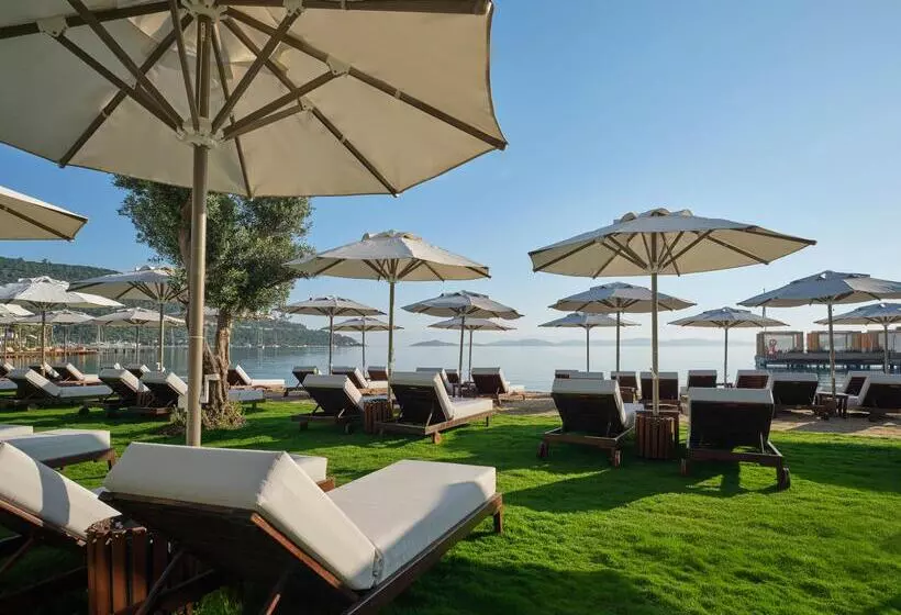 Отель Voyage Torba