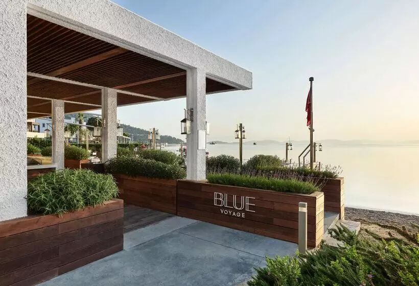 Отель Voyage Torba