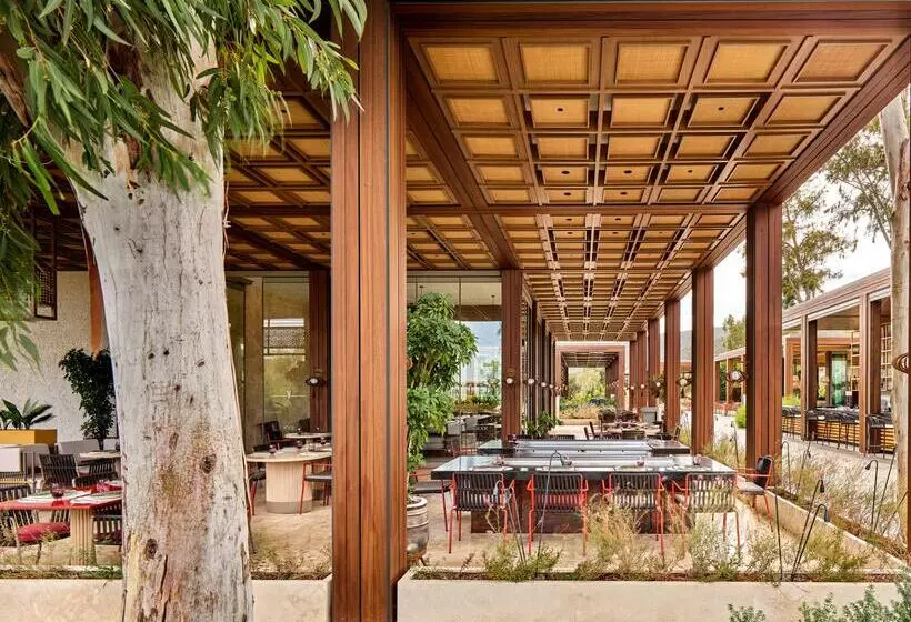 Отель Voyage Torba