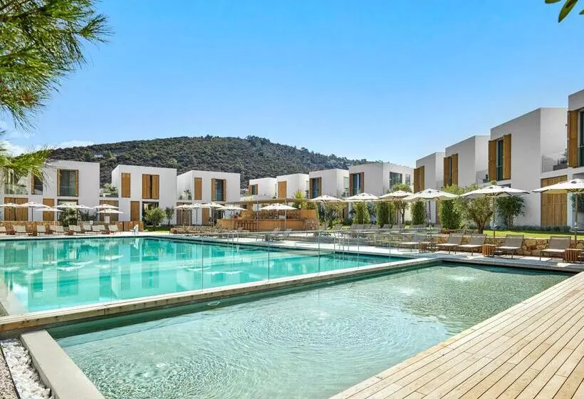 Отель Voyage Torba