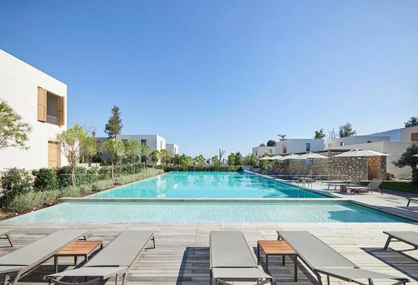 Отель Voyage Torba