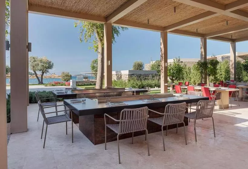 Отель Voyage Torba