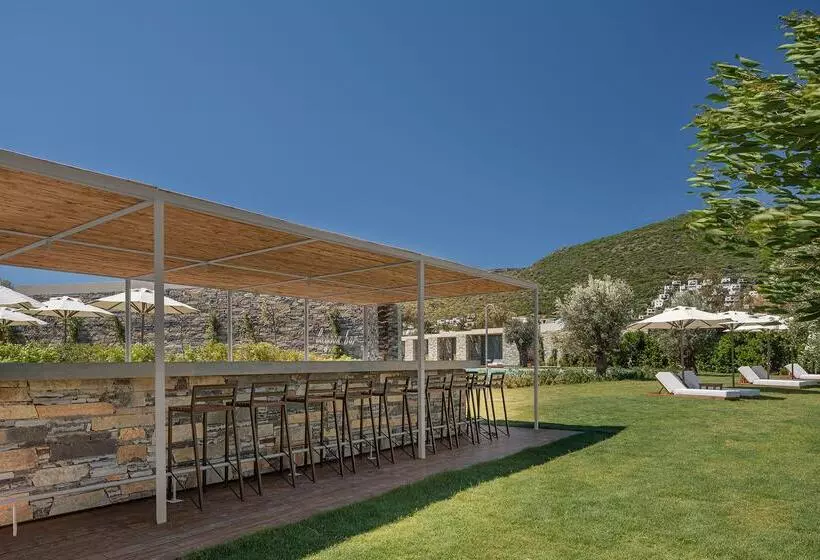 Отель Voyage Torba