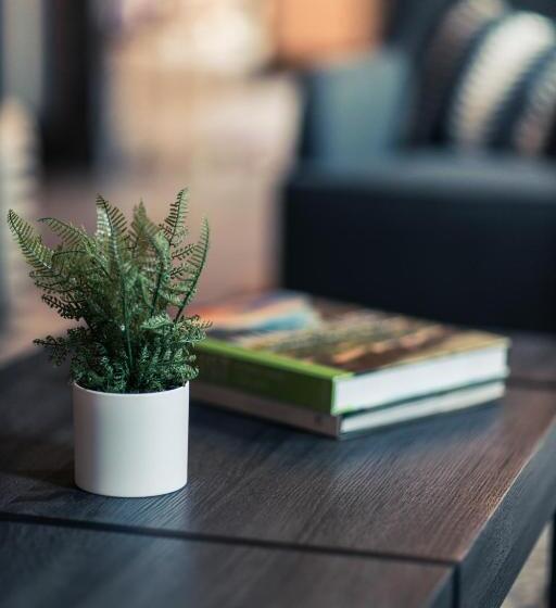 The Bivvi Hostel Telluride