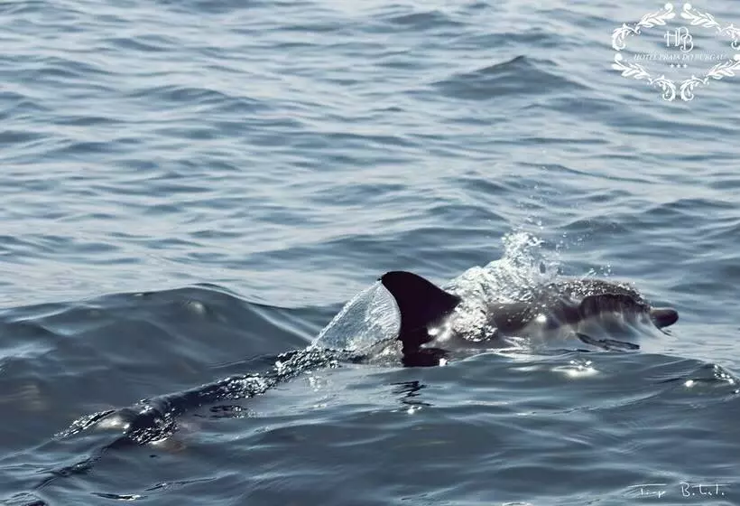 호텔 Praia Do Burgau   Turismo De Natureza