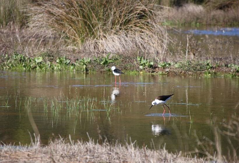 فندق Praia Do Burgau   Turismo De Natureza