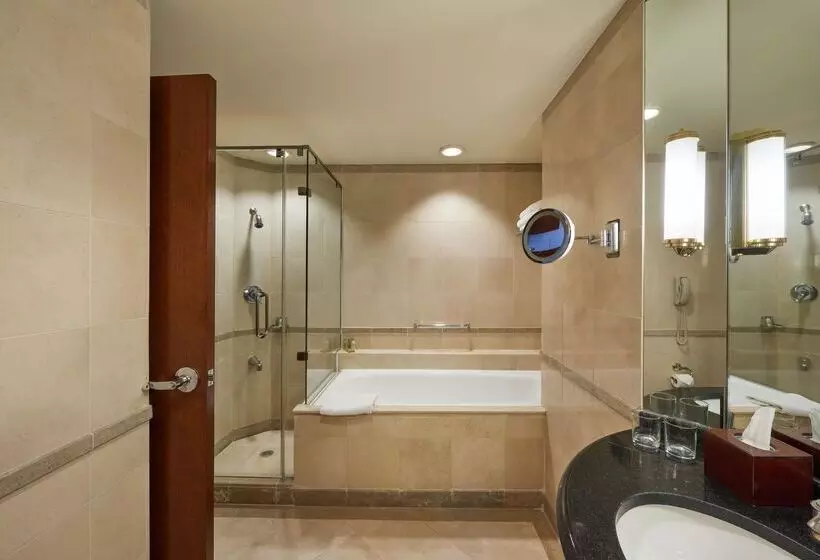 هتل Hilton Cairo Grand Nile