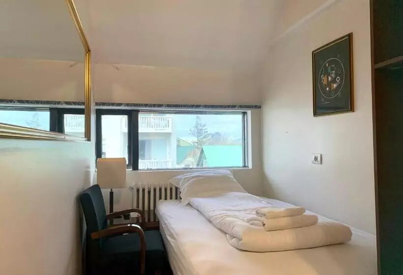 هتل Reykjavik Downtown