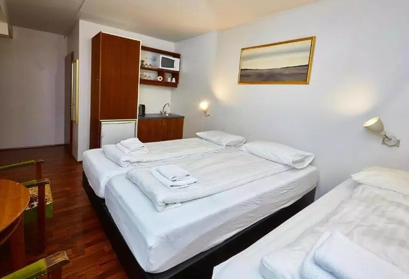 هتل Reykjavik Downtown