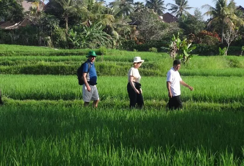 Hotel The Sungu Resort & Spa