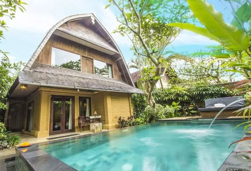 Hotel The Sungu Resort & Spa