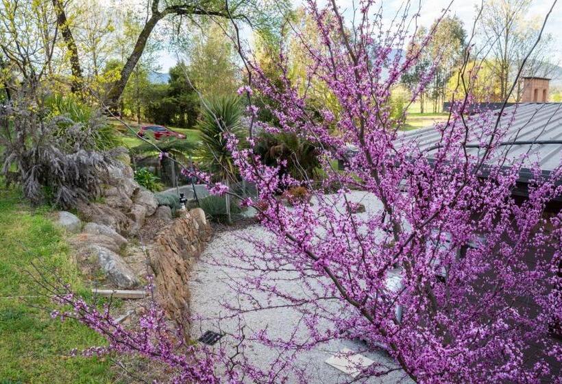 リゾートホテル Dreamers