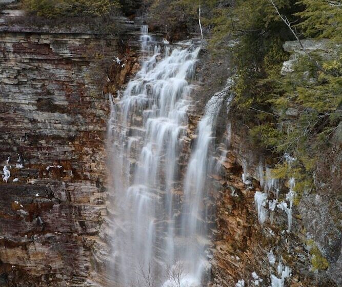 בית מלון כפרי Harvest Inn