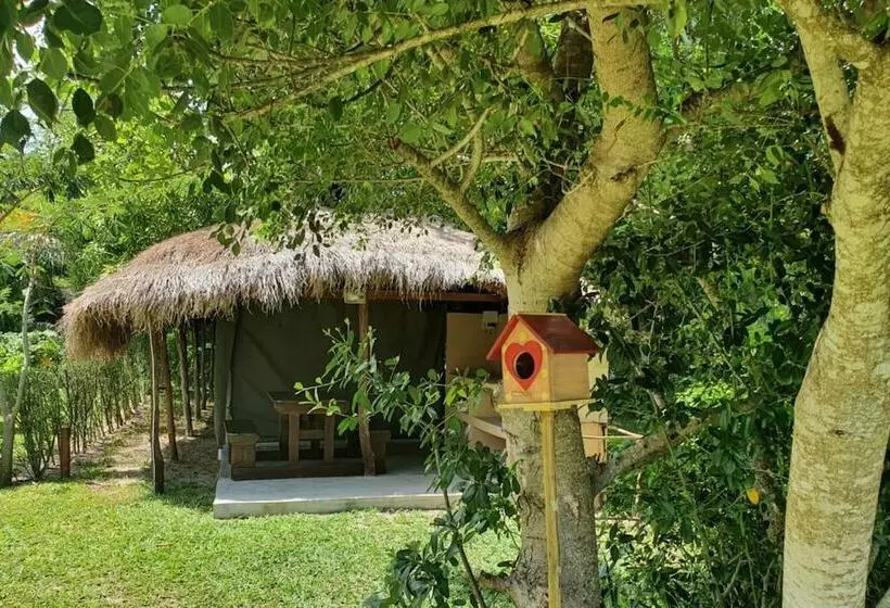 هتل Boa Vista Resort
