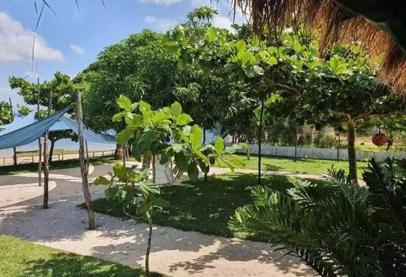 هتل Boa Vista Resort