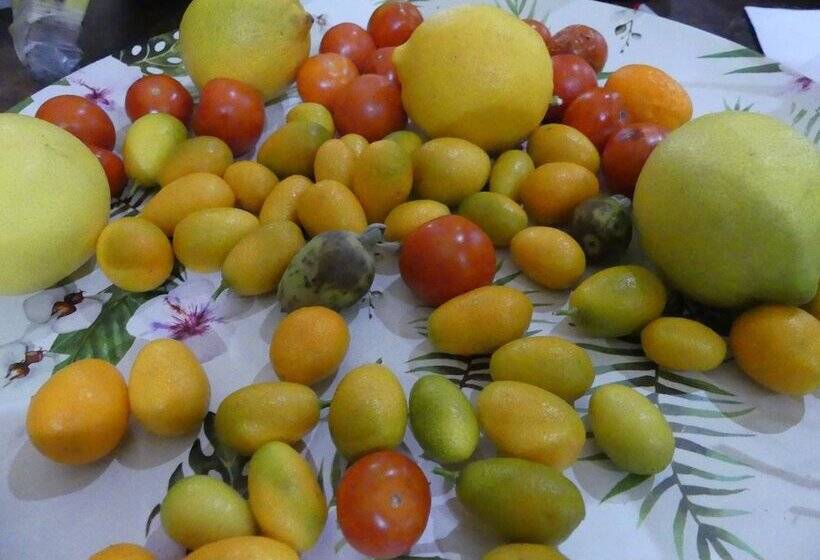 膳宿费 Limoux Riverside Gardens