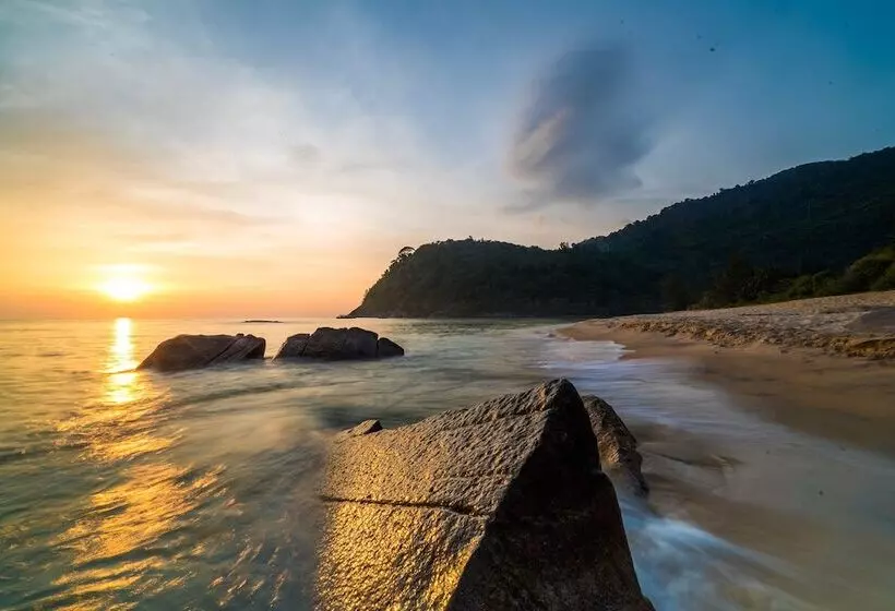 ホテル 1511 Coconut Grove