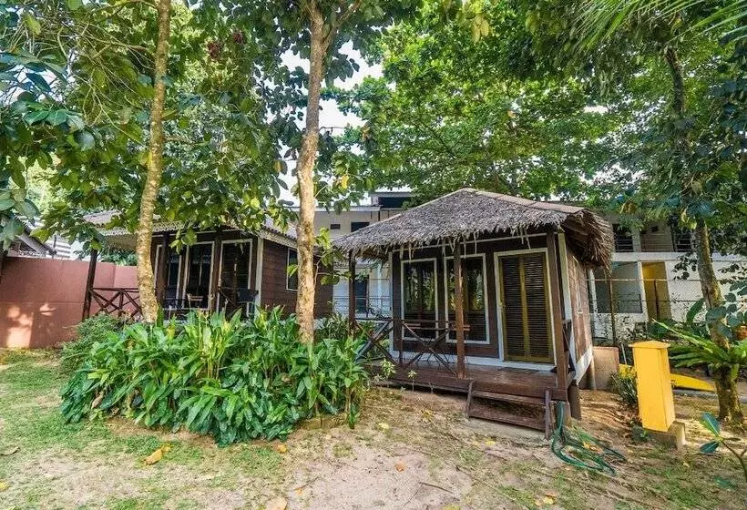 ホテル 1511 Coconut Grove