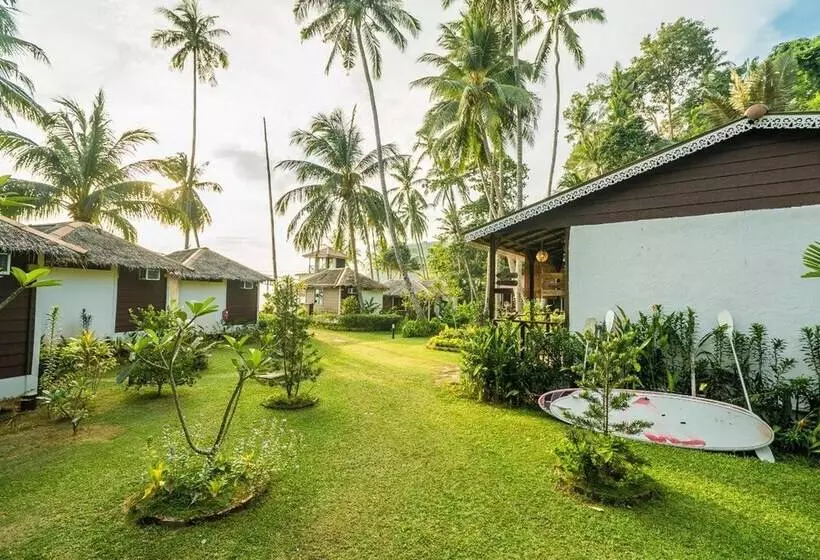 ホテル 1511 Coconut Grove