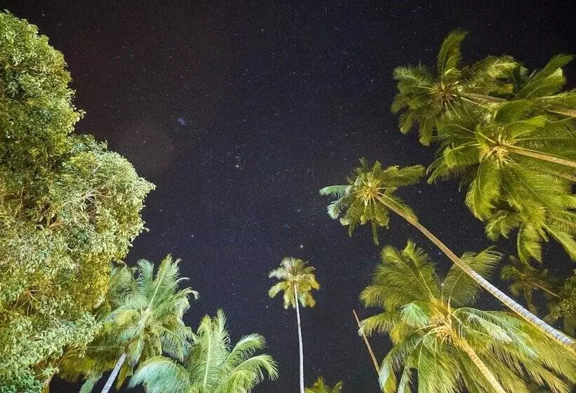 ホテル 1511 Coconut Grove