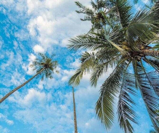 Hotel 1511 Coconut Grove