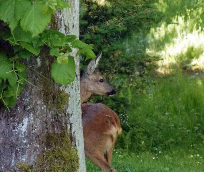 Hotelli Eichenhof Kalletal