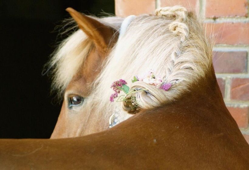 酒店 Eichenhof Kalletal