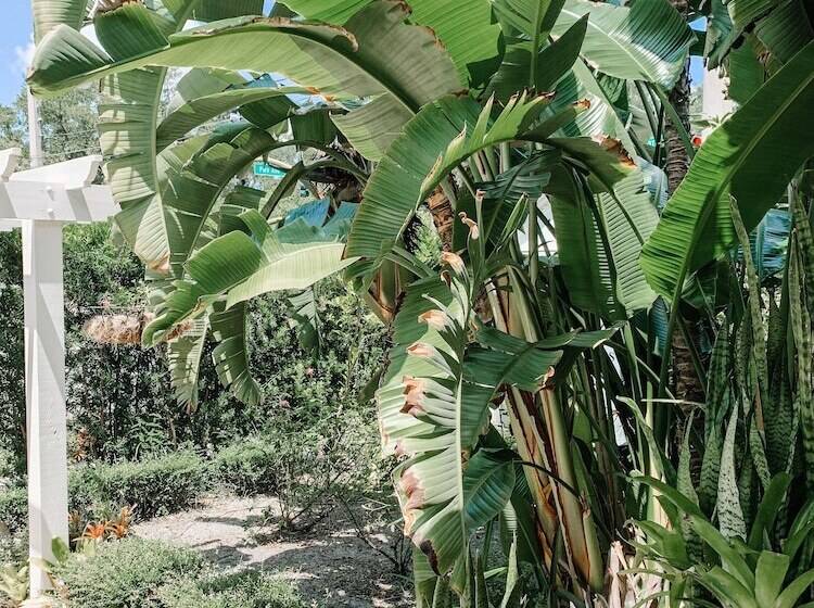 هتل Park Place Inn And Cottages