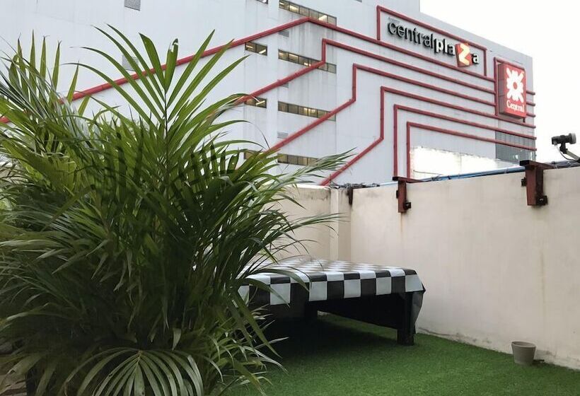 Szálloda Rooftop Room