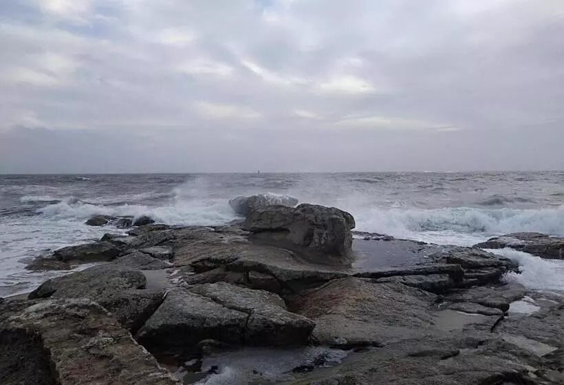 Majatalo La Rose Des Mers