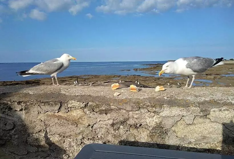 Majatalo La Rose Des Mers
