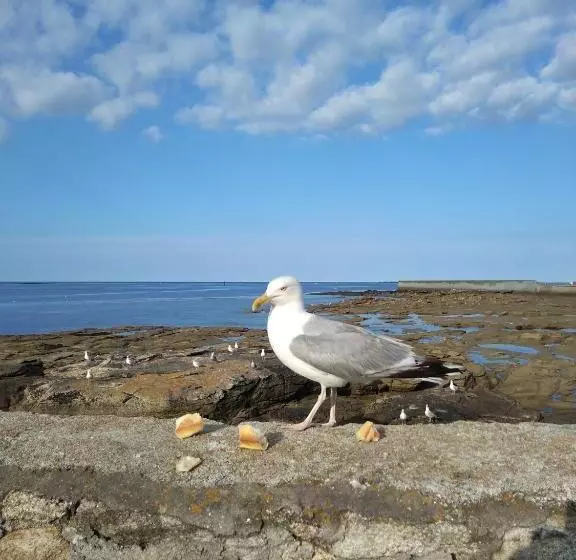 Majatalo La Rose Des Mers