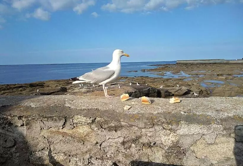 Majatalo La Rose Des Mers