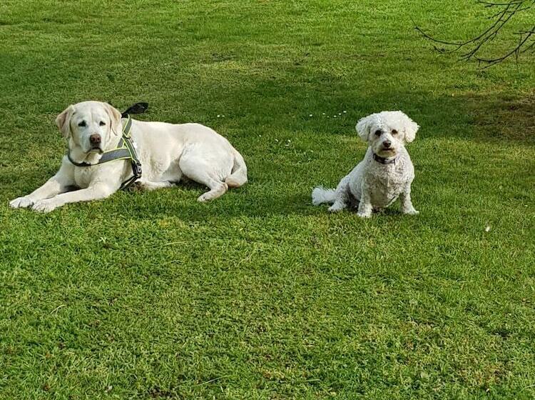 膳宿费 Sheephouse Manor