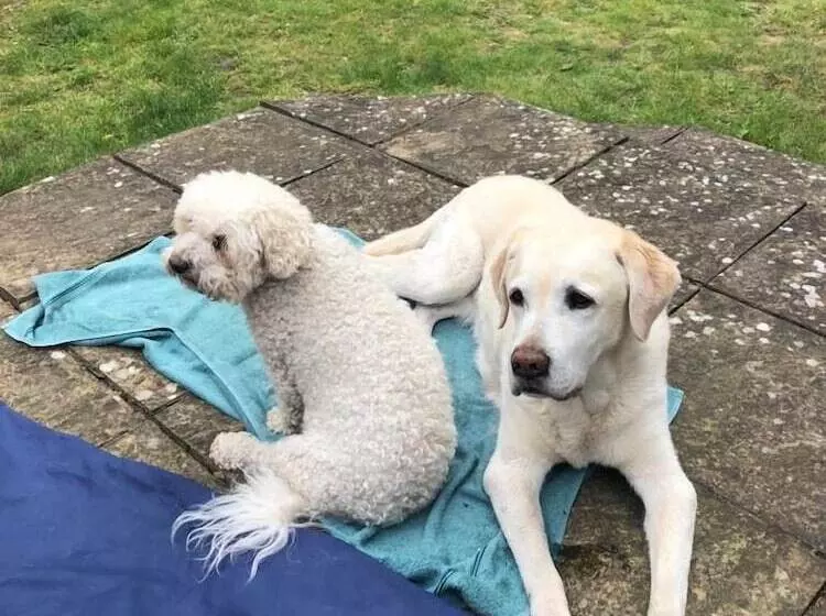 Majatalo Sheephouse Manor