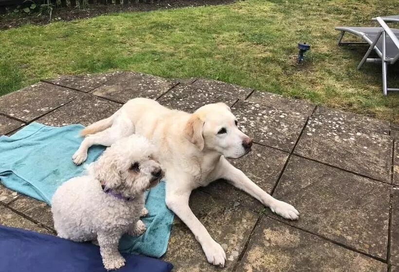 Majatalo Sheephouse Manor