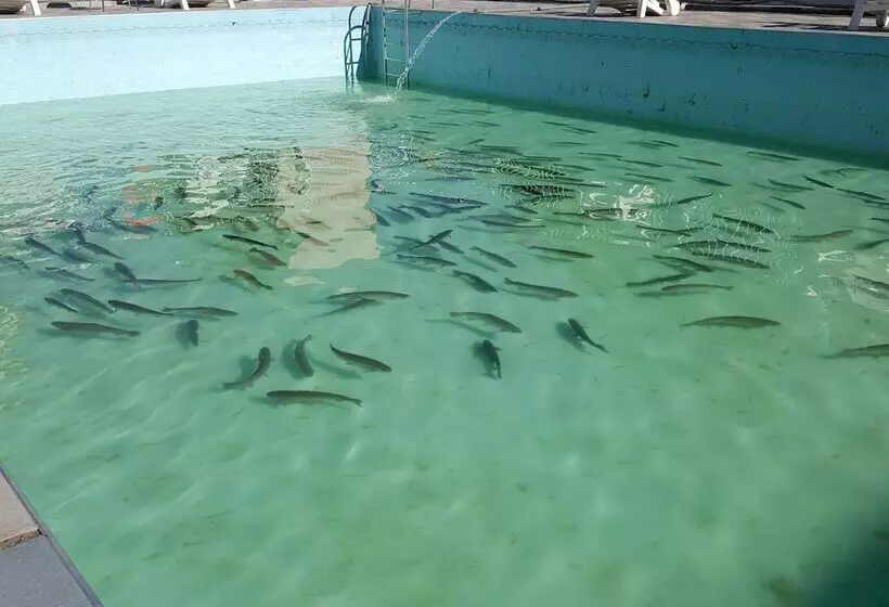 ペンション World Village Poolvilla